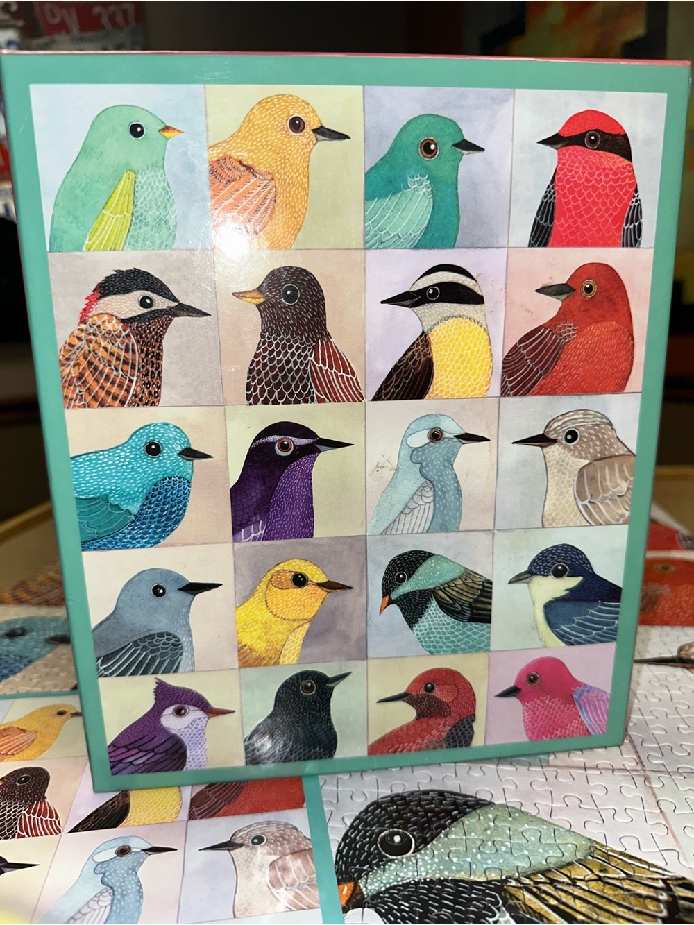 Galison AVIAN FRIENDS 1000 Piece Puzzle Colorful Birds Poster 100% Complete MINT